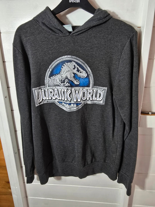 Men's Jurassic World grey long sleeved hoodie size Med