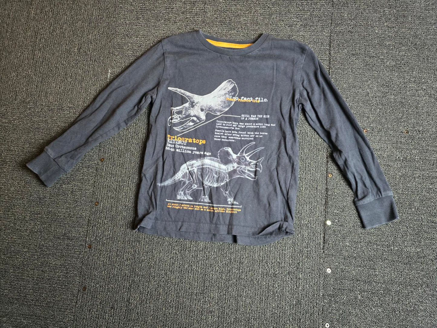 Next Black Dinosaur Long Sleeve Tee – Age 6 Years – 100% Cotton Boys