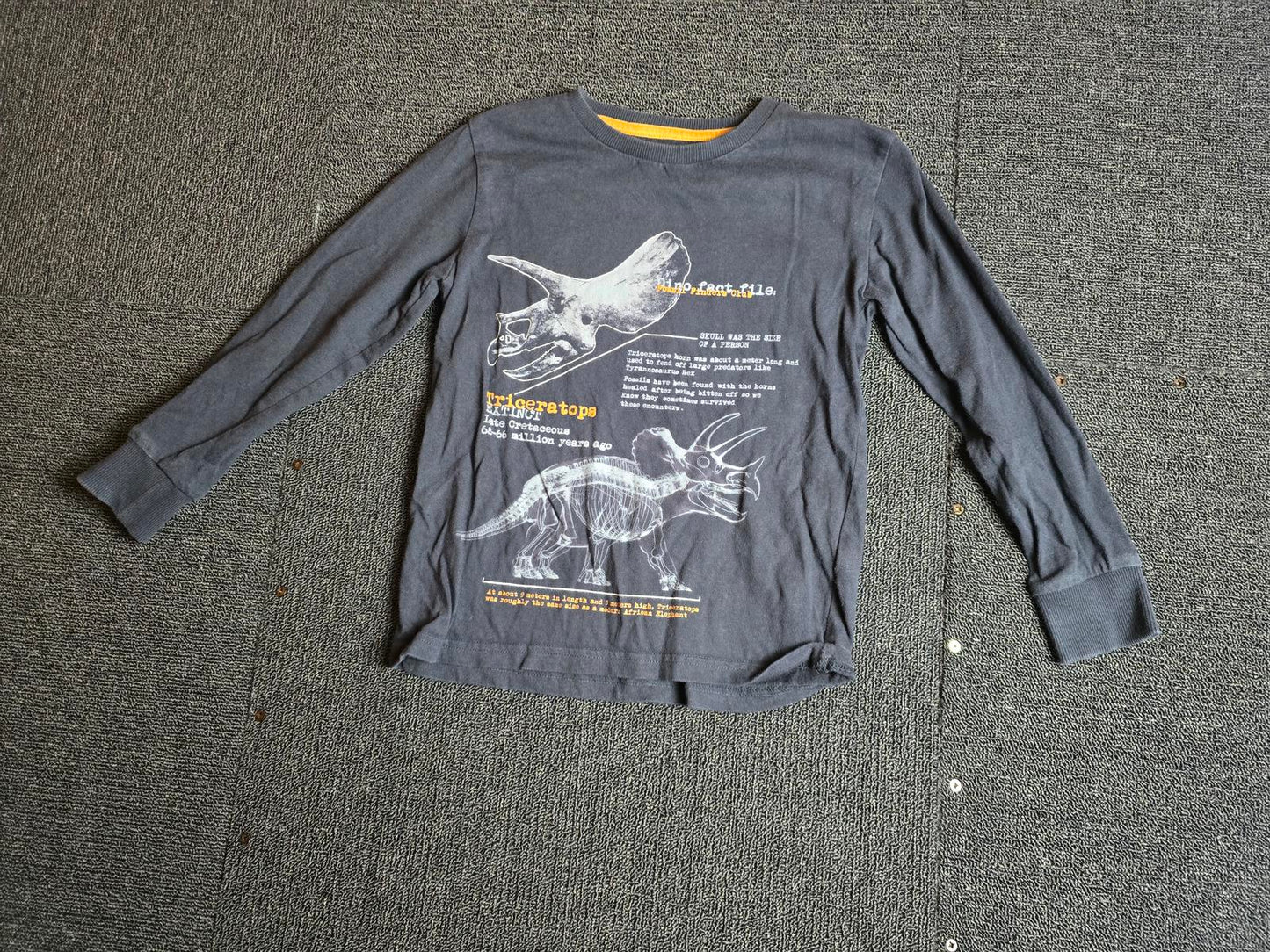 Next Black Dinosaur Long Sleeve Tee – Age 6 Years – 100% Cotton Boys