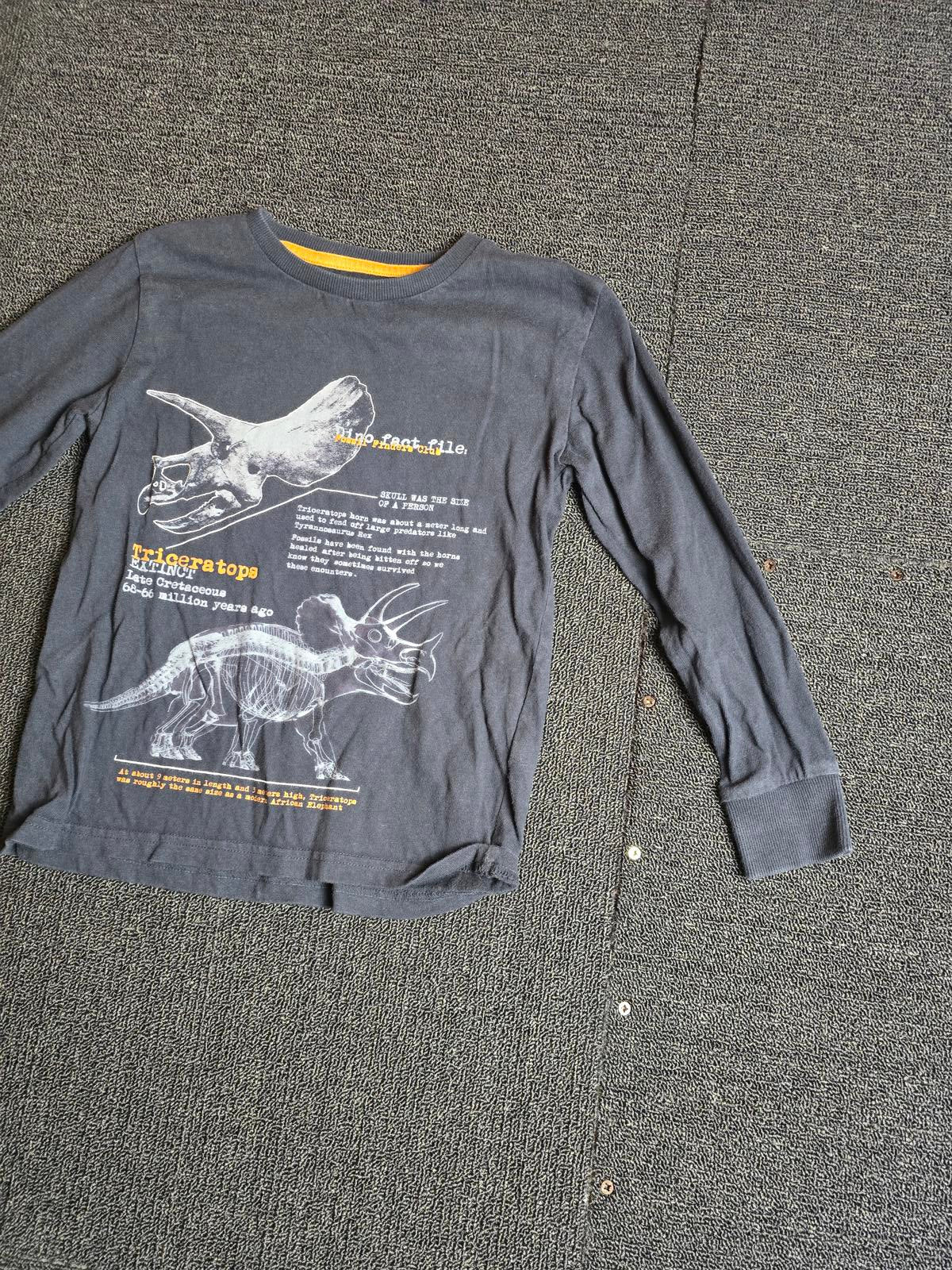 Next Black Dinosaur Long Sleeve Tee – Age 6 Years – 100% Cotton Boys