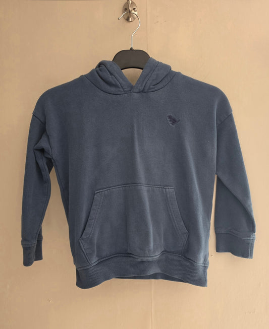 Next Boys Light Blue Dinosaur Front Pocket Pullover Hoodie Age 5-6 Years