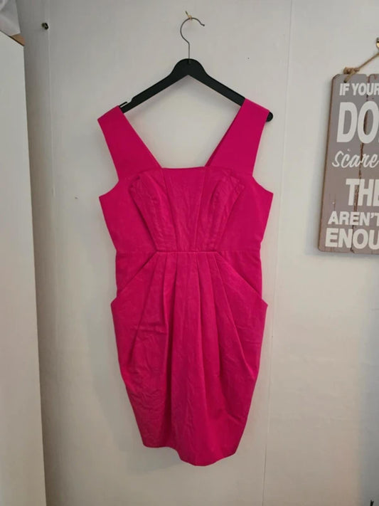 M&S Limited Collection Pink Pleated Dress NWT Size 6