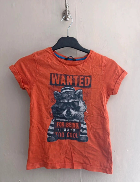 George Boys Orange Raccoon Graphic T-Shirt – 6–7 Years