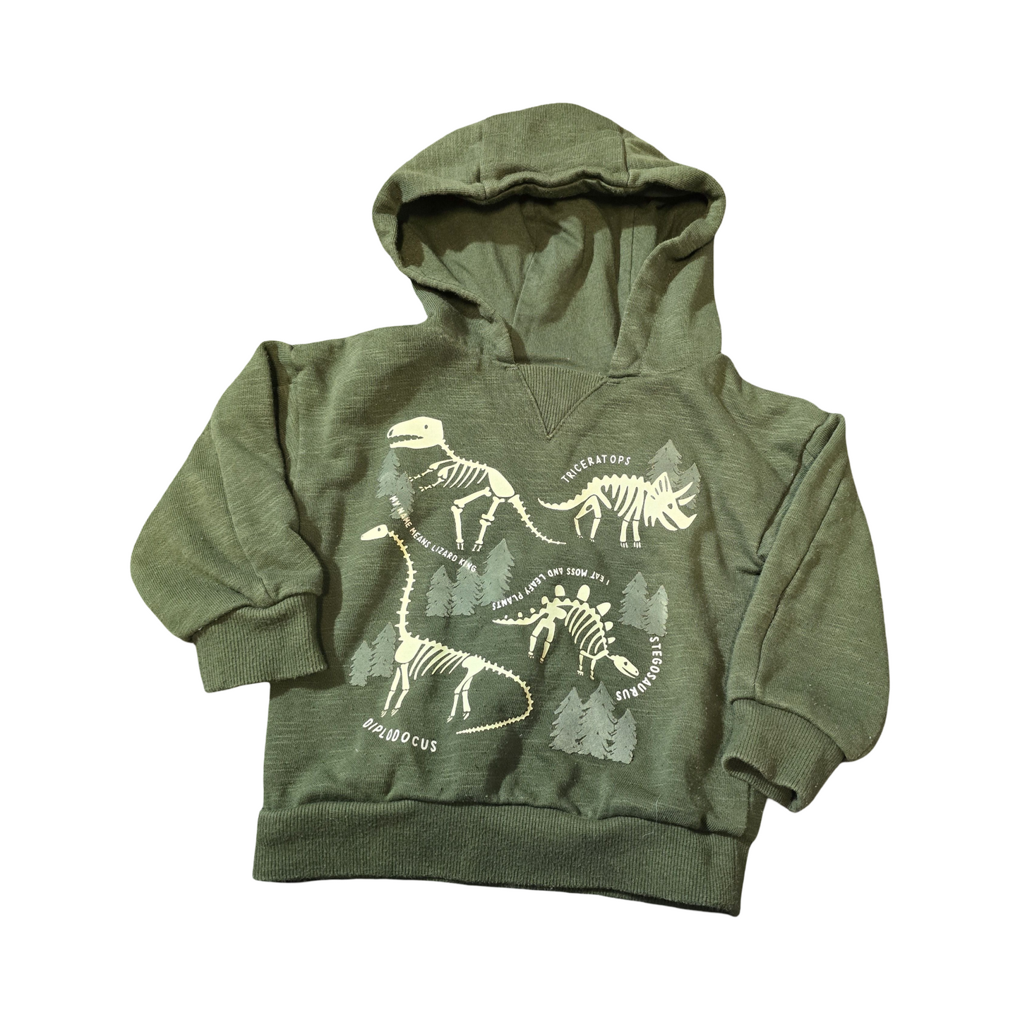 Primark Green Dinosaur Hoodie – Boys 9–12 Months – Cotton Blend