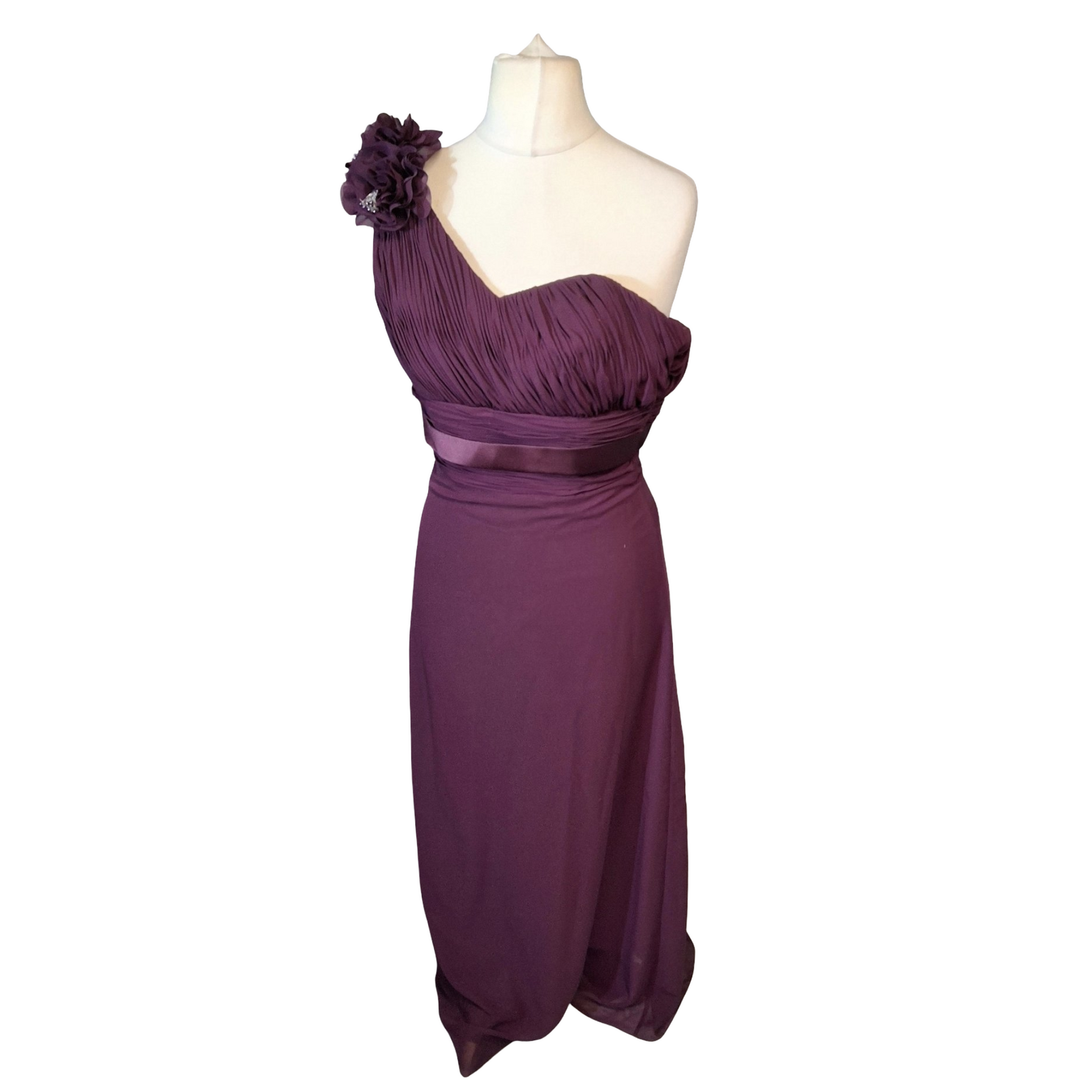 Hilary Morgan One-Shoulder Plum Formal Dress – Size 10