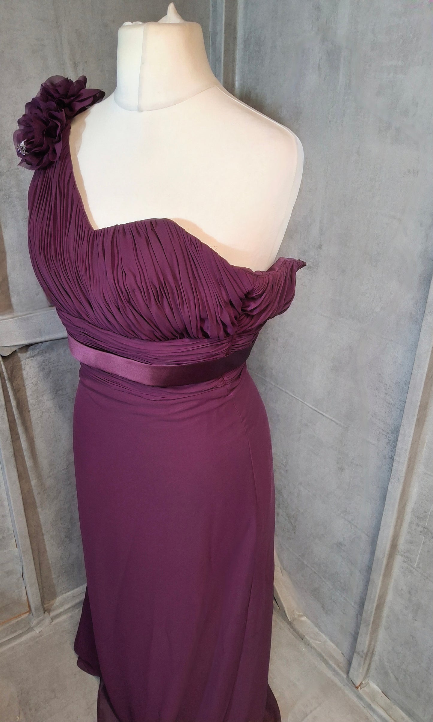 Hilary Morgan One-Shoulder Plum Formal Dress – Size 10