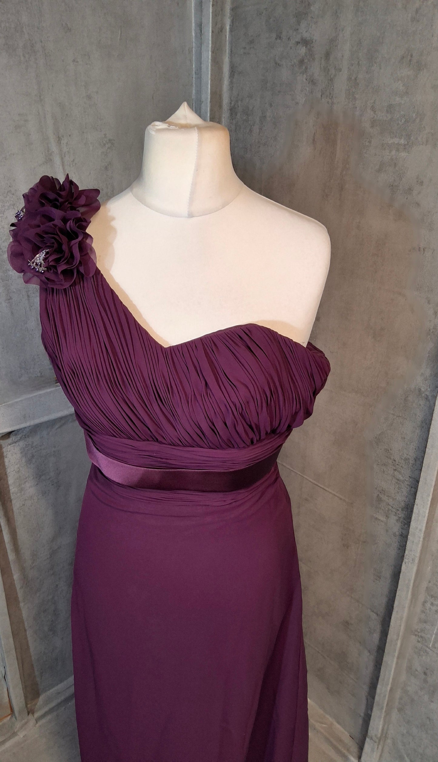 Hilary Morgan One-Shoulder Plum Formal Dress – Size 10