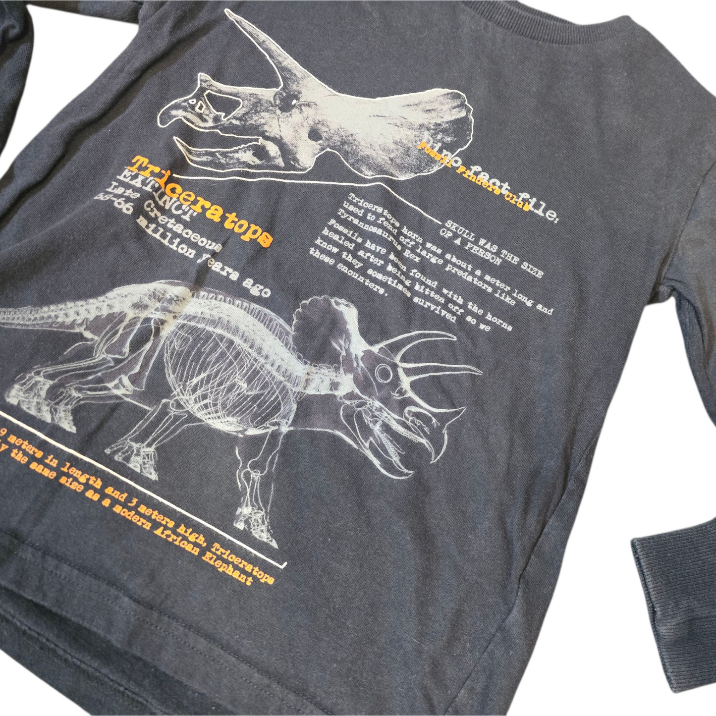 Next Black Dinosaur Long Sleeve Tee – Age 6 Years – 100% Cotton Boys