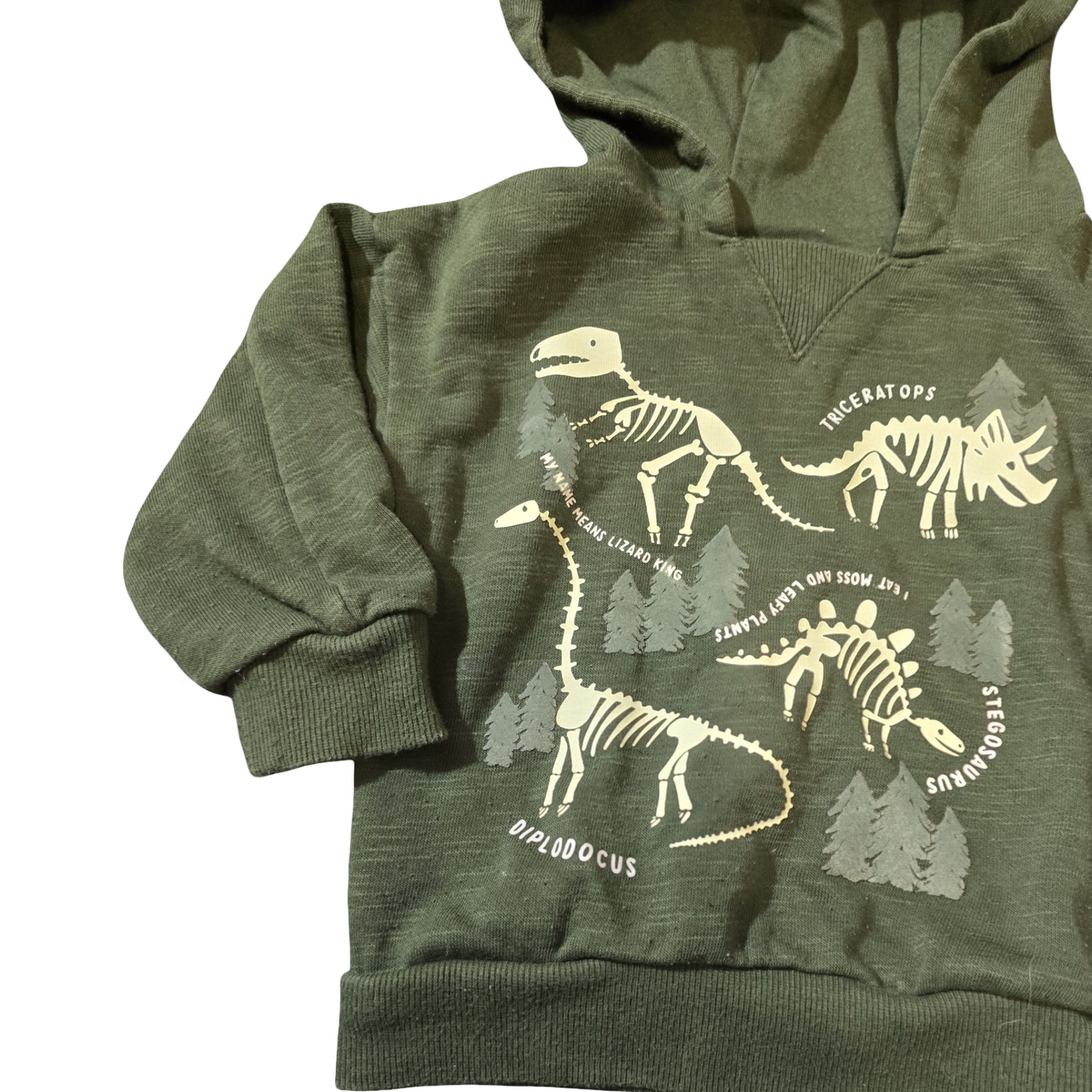 Primark Green Dinosaur Hoodie – Boys 9–12 Months – Cotton Blend